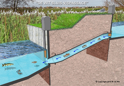 Gissen naar de vissen(passage)